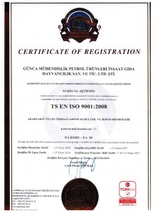ISO 9001
